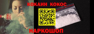 индика Камышлов