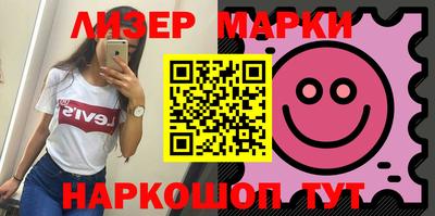 индика Камышлов