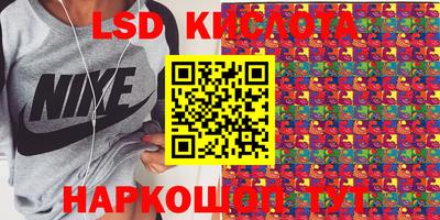 индика Камышлов