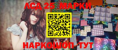 индика Камышлов