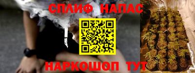 индика Камышлов