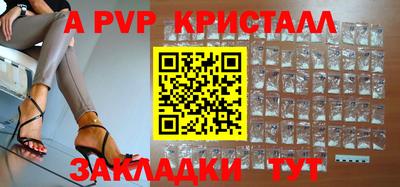 индика Камышлов