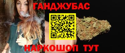 индика Камышлов