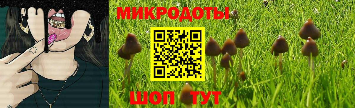 Галлюциногенные грибы мицелий Котовск