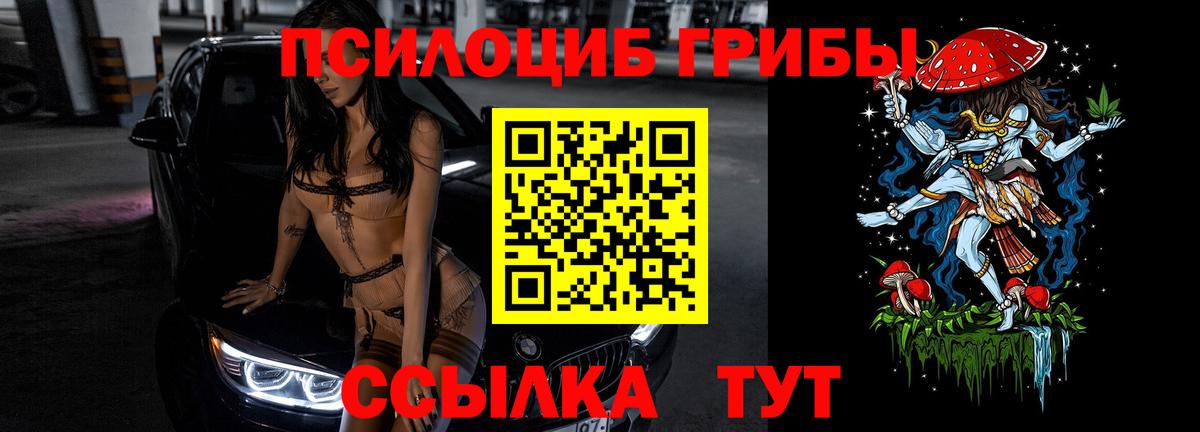 Котовск  Галлюциногенные грибы ЛСД  Псилоцибиновые грибы прущие грибы  Вход с VPN 